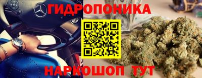 герыч Будённовск