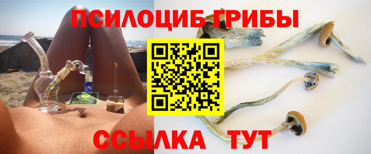 Луга  Галлюциногенные грибы Magic Shrooms  Псилоцибиновые грибы Cubensis  Вход с VPN 