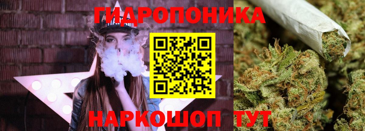 МАРИХУАНА планчик Луга